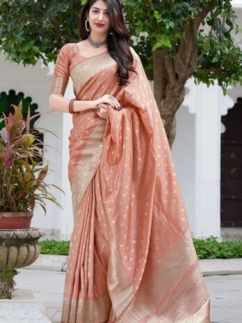 Womanista Women’s Plain Organza Solid Embellished pitch saree