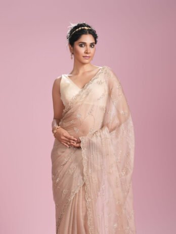 Ravishing Fawn Organza Saree